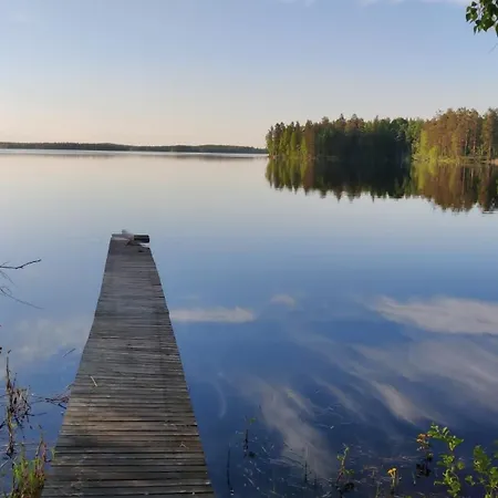 Mustalahti فيتاساري