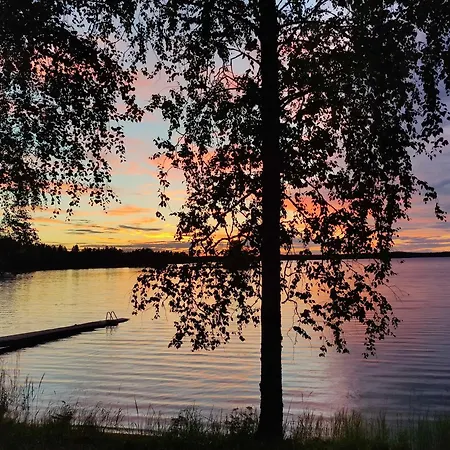 شاليه Mustalahti فيتاساري