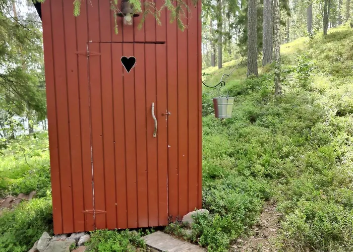 Шале Mustalahti Виитасаари