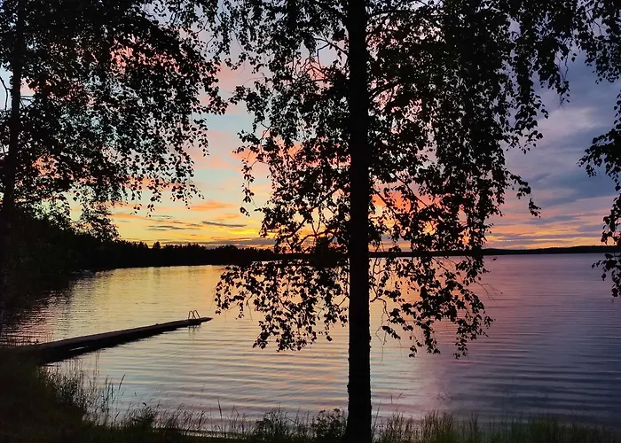 Шале Mustalahti Виитасаари